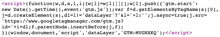 google tag manager snippet